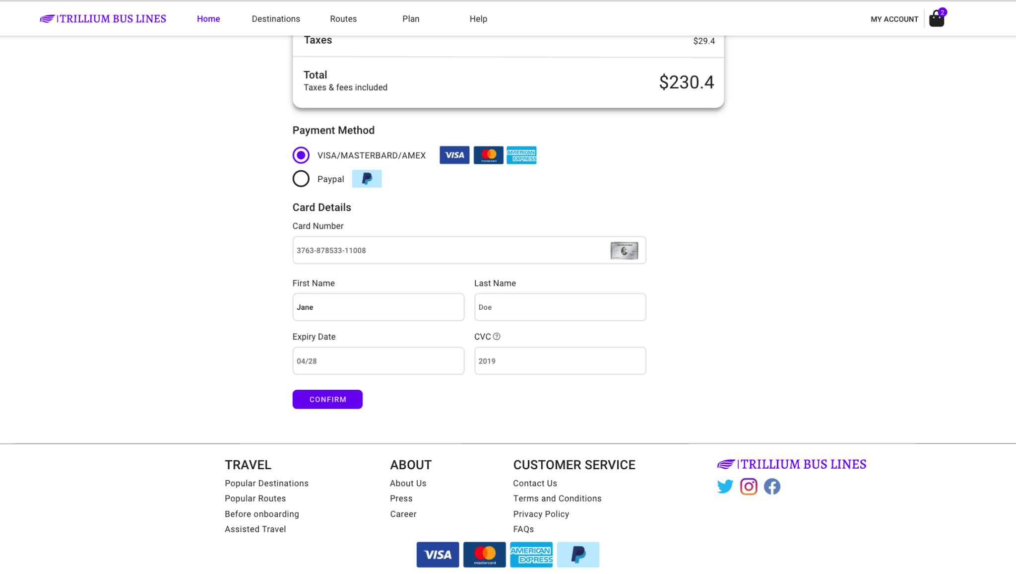 Input Payment Details